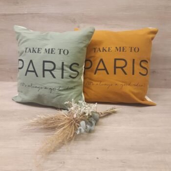Almohadon de 40 x 40 cm estampado con frase Take me to Paris