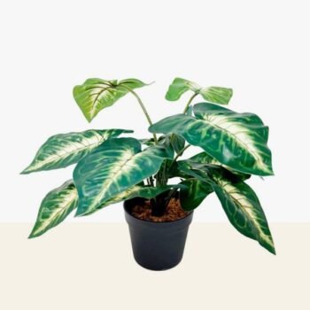 Planta artificial con hojas tipo Dieffenbachia de 45 cm en maceta
