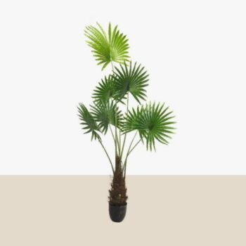 Planta artificial con hojas de palmera de 160 cm en maceta