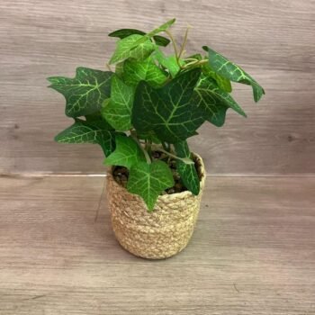 Macetas de seagrass con plantas artificiales de 11 x 28 cm