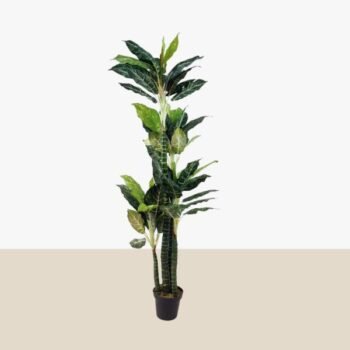 Planta artificial dieffenbachia de 180 cm en maceta