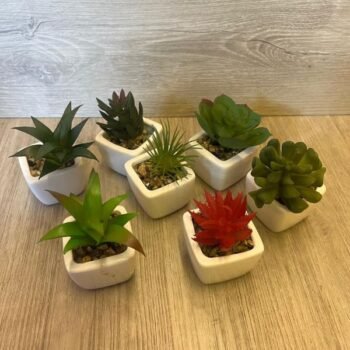 Suculenta artificial con piedritas en maceta de ceramica de 6 x 10 cm