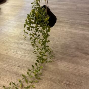 Planta artificiales en maceta colgante de 82 cm