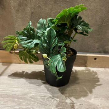 Planta artificial tipo monstera en maceta de pvc de 15 x 20 cm