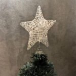 punta-de-estrella-NS203159