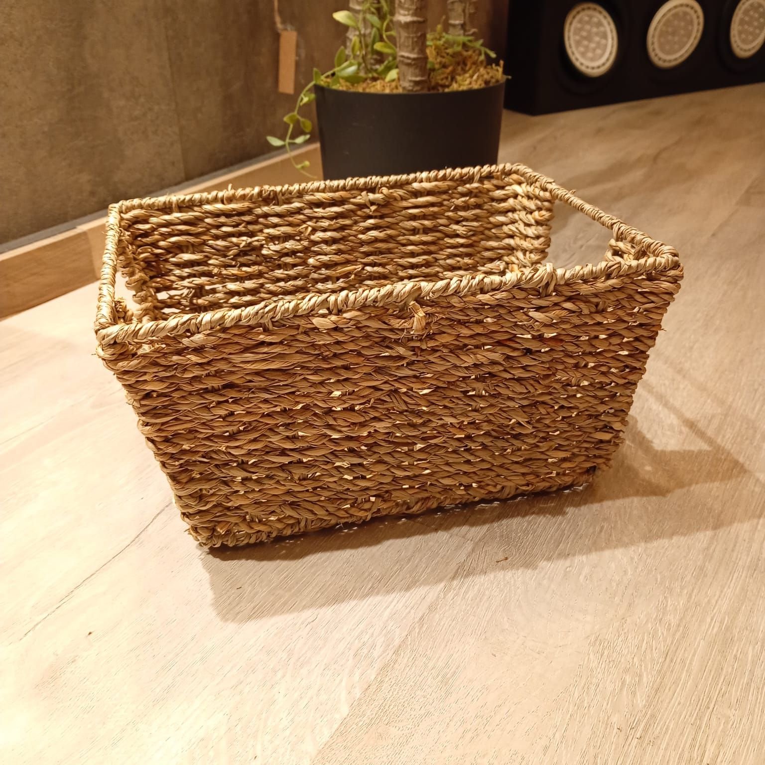 canasto dalia chico 1