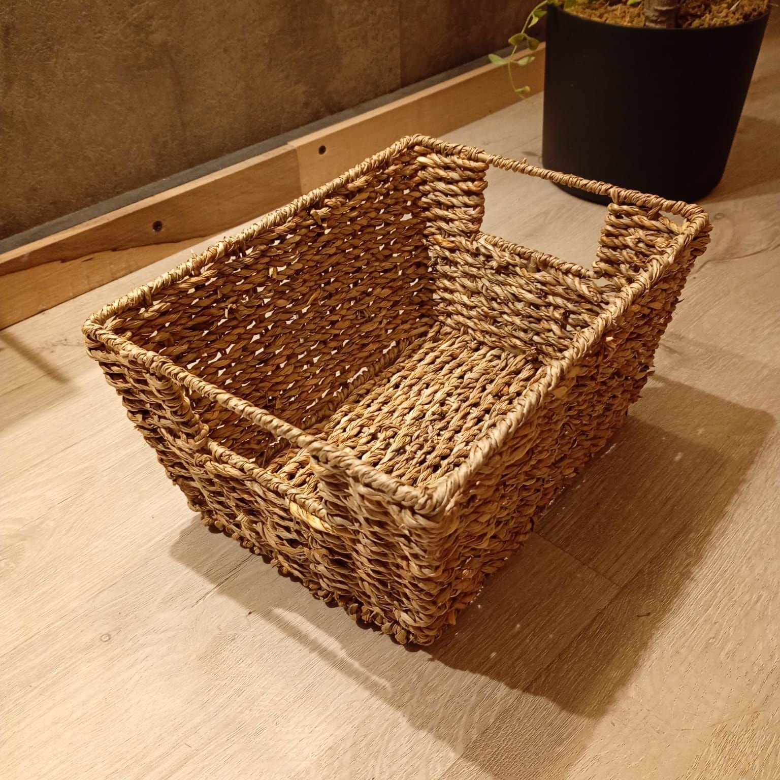 canasto dalia chico 2