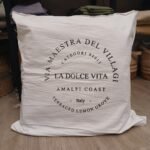 almohadon tussor 55 x 55 cm