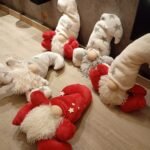 duende patas corta 2