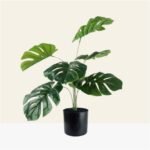 Planta con hojas estilo monstera artificiales de 45 cm en maceta negra