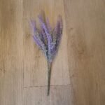 lavanda
