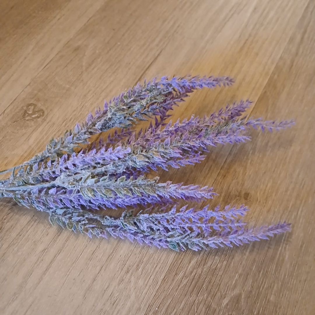 lavanda.1