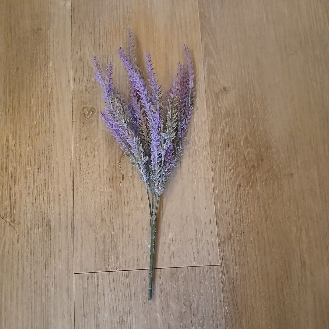 lavanda