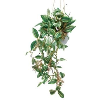 Planta artificial colgante estilo tradescantia de 45 cm
