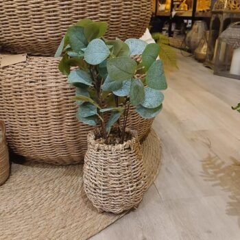 Planta de hojas tipo eucalipto artificial de 40 cm en maceta de mimbre