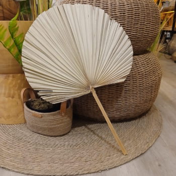 Abanico de hoja de palma de 32 x 42 cm