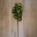 Rama de hojas verdes veteadas artificiales de 68 cm