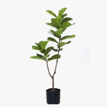 Planta artificial decorativa estilo Pandurata de 155 Cm