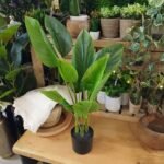 Planta artificial estilo Strelizia de 70 cm en maceta