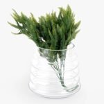 floreroc