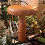 fungigra