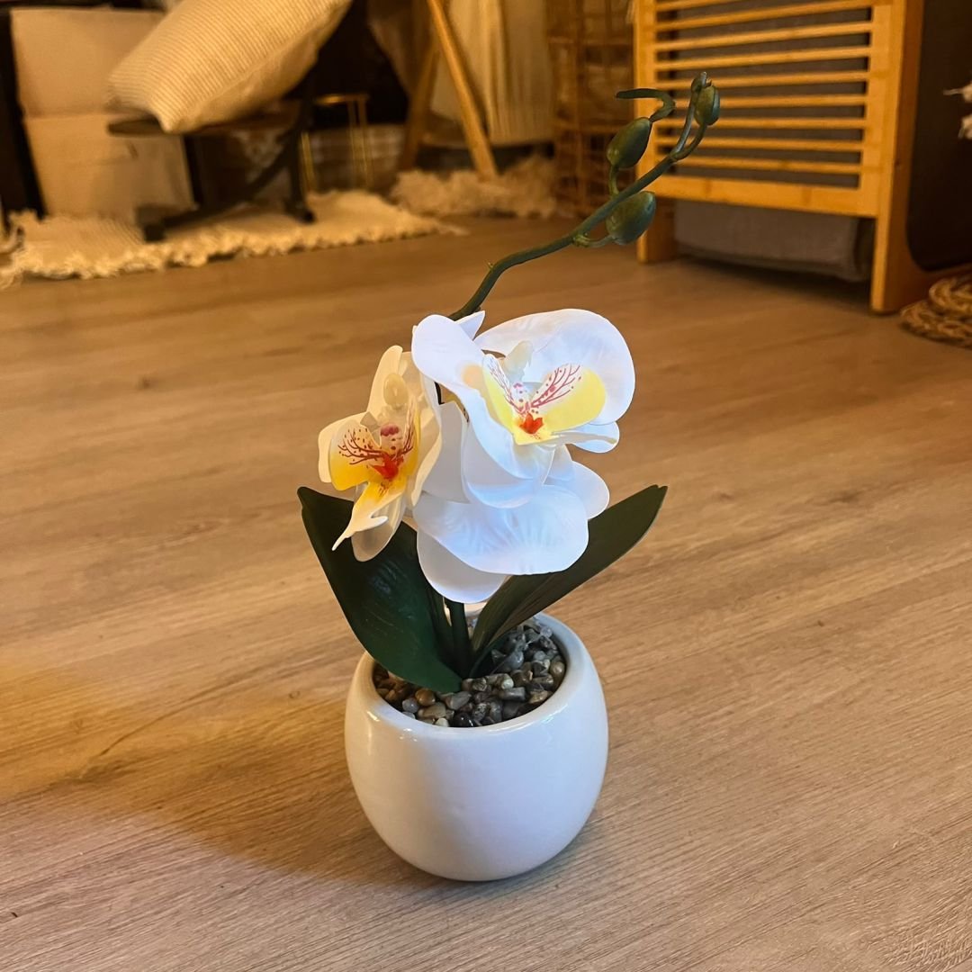 orquideablanca